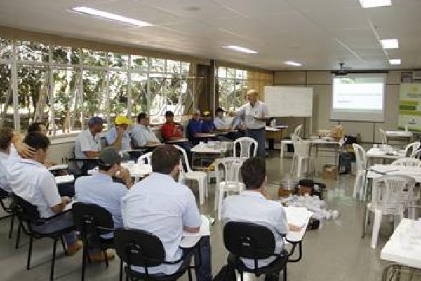 Funcion&aacute;rios passam por curso de armazenagem e classifica&ccedil;&atilde;o de gr&atilde;os