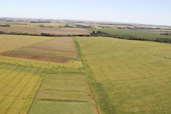 Cadastro Ambiental Rural tem prazo prorrogado por um ano
