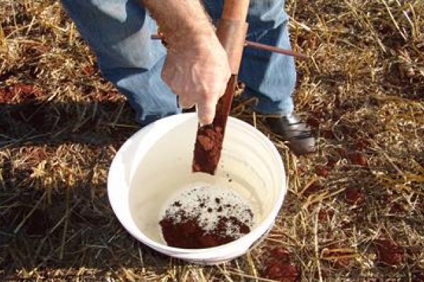 A import&acirc;ncia da an&aacute;lise de solo