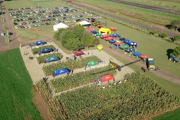 Dia de Campo Milho Safrinha Copagril apresenta novidades em h&iacute;bridos