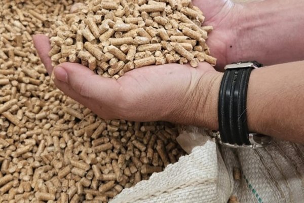 Uso de pellets de madeira em granjas proporciona economia aos produtores rurais