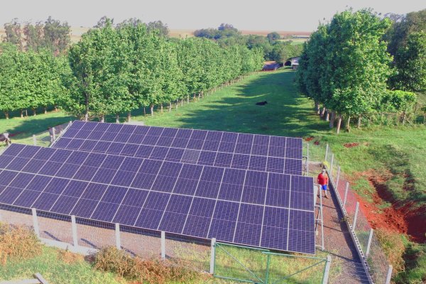 Programa Crédito de Carbono Copagril constrói um legado do cooperativismo para um futuro sustentável