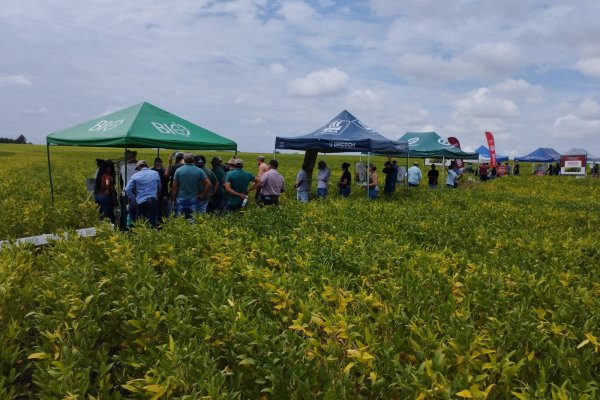 Dia de Campo Copagril re&uacute;ne produtores em Itaquira&iacute;, Mato Grosso do Sul