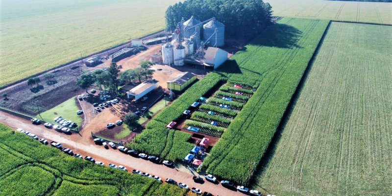 Copagril realiza Dia de Campo Milho Safrinha em Bela Vista
