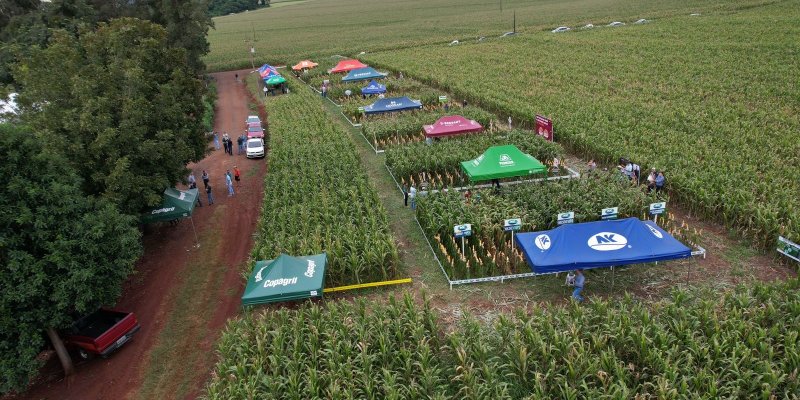 Copagril d&aacute; sequ&ecirc;ncia aos Dias de Campo Milho Safrinha