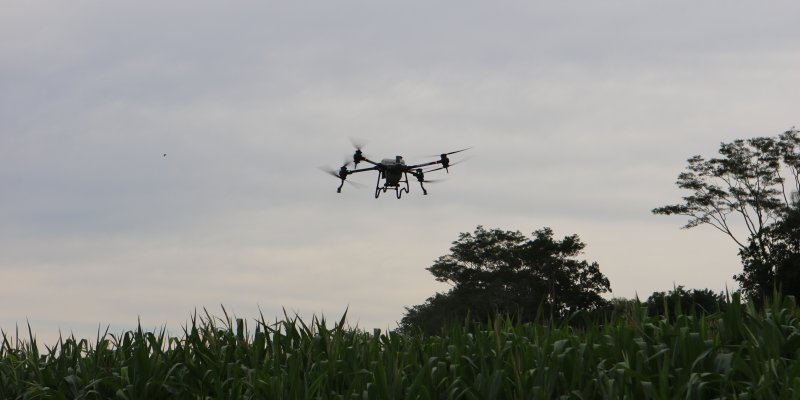 Drone de pulveriza&ccedil;&atilde;o proporciona equil&iacute;brio entre rentabilidade e sustentabilidade