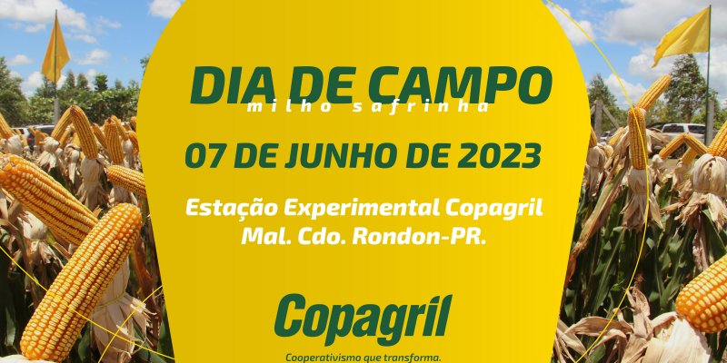 Copagril realiza nesta quarta-feira o Dia de Campo do Milho Safrinha 2023