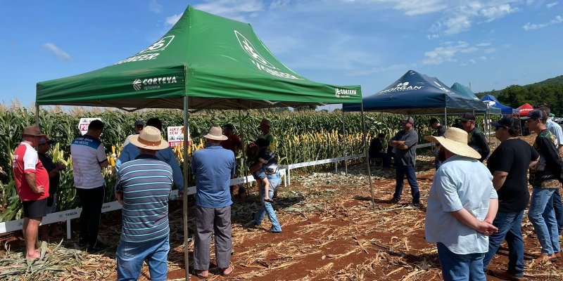 Copagril realiza Dia de Campo Milho Silagem em Entre Rios do Oeste