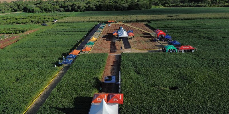 Dias de Campo da Copagril fortalecem transfer&ecirc;ncia de tecnologia no Paran&aacute; e no Mato Grosso do Sul