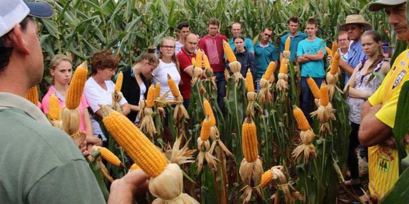 Comit&ecirc;s de jovens realizam dias de campo dos projetos agr&iacute;colas
