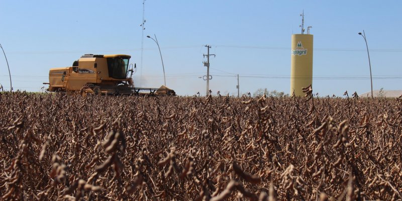 Primeiras lavouras colhidas apresentam bom potencial de produtividade