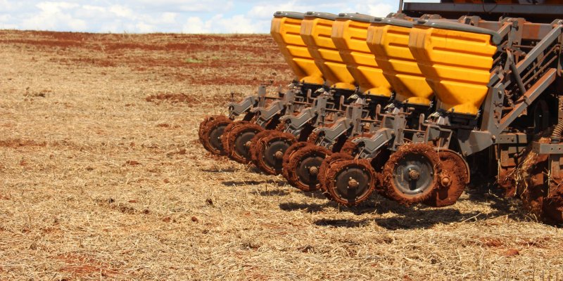 Temperatura do solo adequada na hora do plantio favorece um bom estande de plantas