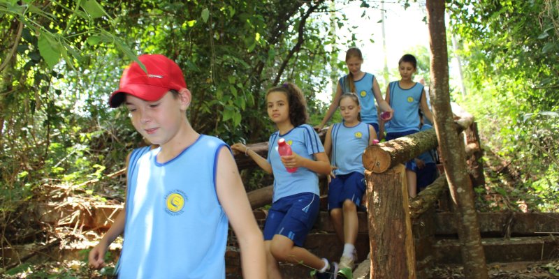 Estudantes realizam visitas &agrave; Trilha Ecol&oacute;gica do frigor&iacute;fico da Copagril
