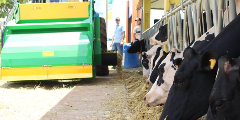 Fomento leiteiro realiza din&acirc;micas no Dia de Campo Copagril