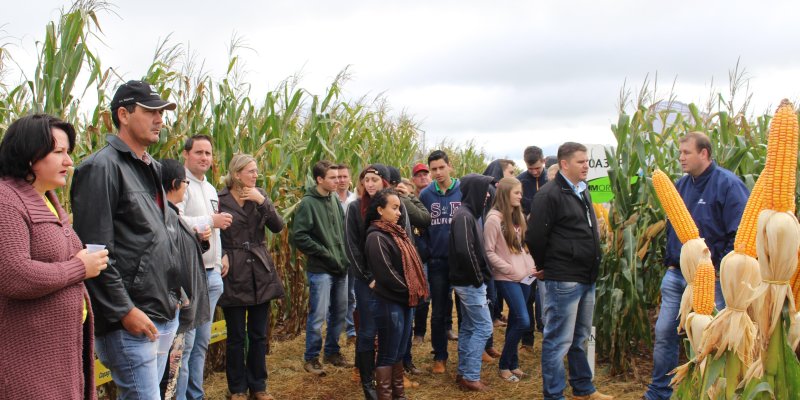Dia de Campo do Milho Safrinha Copagril atrai produtores e estudantes da regi&atilde;o