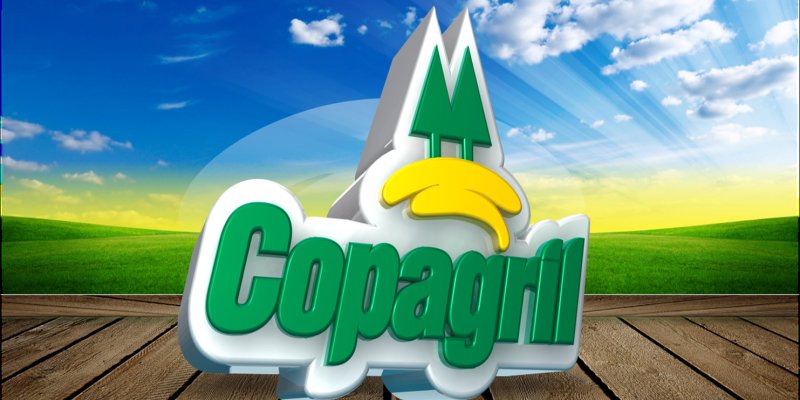 Ciclo de reuni&otilde;es dos n&uacute;cleos cooperativos come&ccedil;a semana que vem