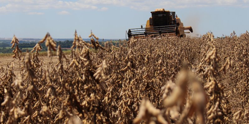Valor Bruto da Produ&ccedil;&atilde;o Agropecu&aacute;ria est&aacute; estimado em R$ 562,4 bilh&otilde;es