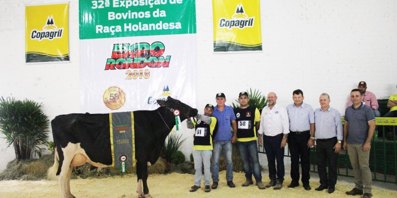  Associa&ccedil;&atilde;o Paranaense de Criadores classifica os melhores bovinos holandeses da Expo Rondon