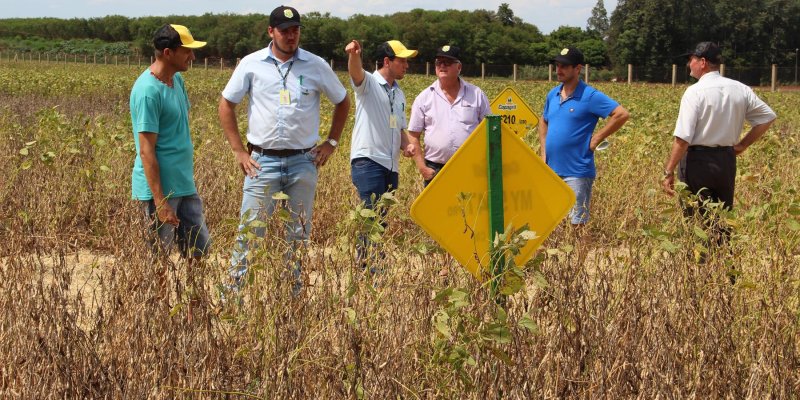 Inova&ccedil;&otilde;es tecnol&oacute;gicas para agricultura s&atilde;o demonstradas no Dia de Campo Copagril