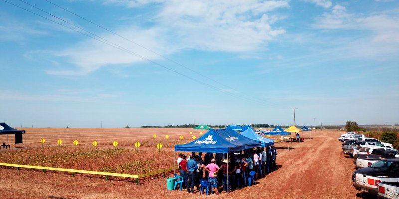 Copagril realiza primeiro Dia de Campo soja ver&atilde;o em Itaquira&iacute;