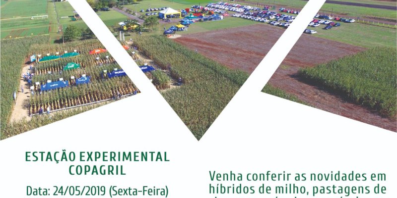 Dia de Campo Milho Safrinha Copagril ser&aacute; realizado na sexta-feira