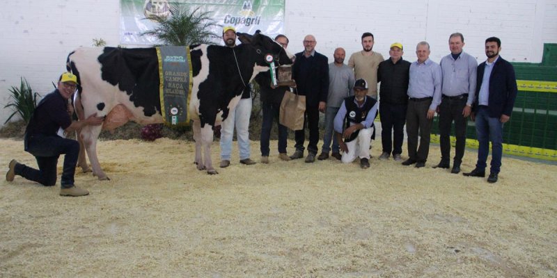 Melhores bovinos da ra&ccedil;a holandesa s&atilde;o premiados na Expo Rondon 2019