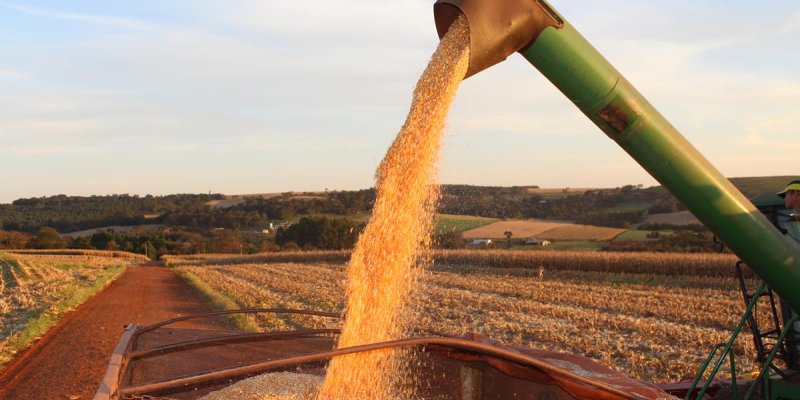  Produtividade da agropecu&aacute;ria brasileira cresce 3,36% ao ano