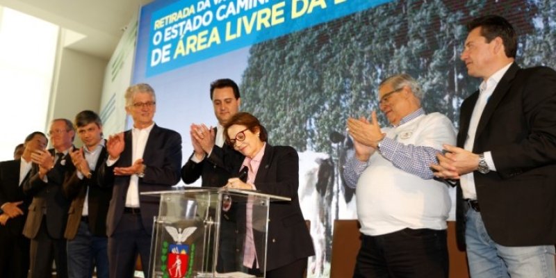 Minist&eacute;rio da Agricultura autoriza suspens&atilde;o da vacina contra aftosa no Paran&aacute;