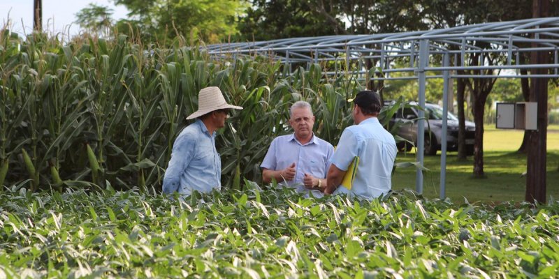 Organiza&ccedil;&atilde;o do Dia de Campo 2020 est&aacute; a todo vapor