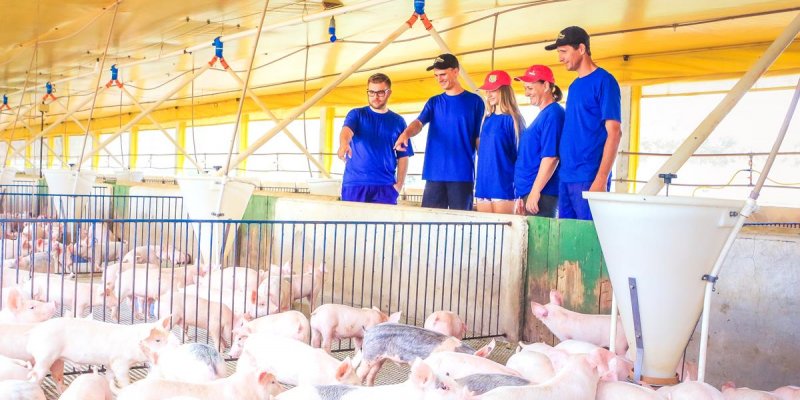 Programa su&iacute;no certificado traz melhorias ao modelo de produ&ccedil;&atilde;o