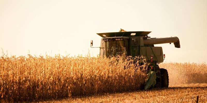 Covid-19: Governo anuncia medidas econ&ocirc;micas para ajudar produtores e cooperativas