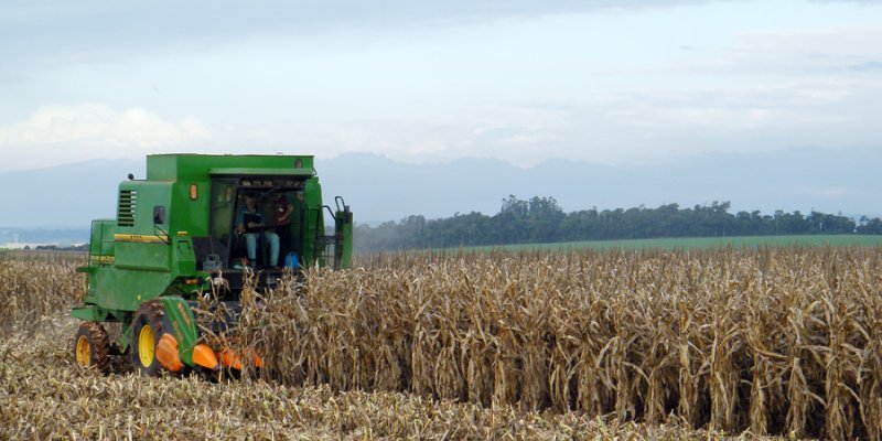 PIB da agropecu&aacute;ria registra alta no segundo trimestre de 2020