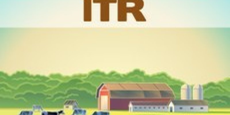 Prazo para declara&ccedil;&atilde;o do ITR encerra dia 30 de setembro