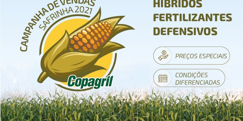 Produtores rurais realizam o planejamento da safrinha 2021