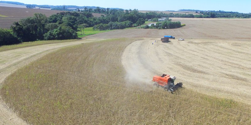 IBGE projeta novo recorde nacional para a Safra 2021