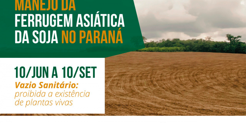 Per&iacute;odo de vazio sanit&aacute;rio da soja est&aacute; em vig&ecirc;ncia at&eacute; 10 de setembro