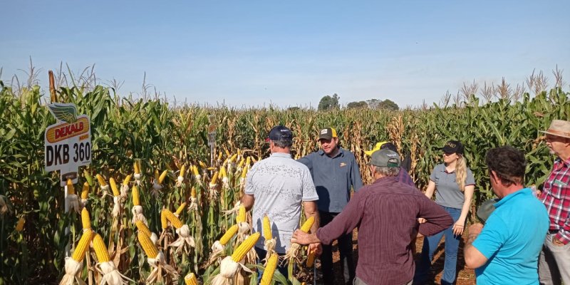 Copagril continua com seu Dia de Campo Milho Safrinha em suas regionais.