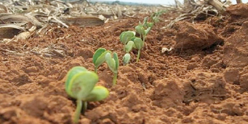 Com o fim do vazio sanit&aacute;rio inicia o zoneamento agr&iacute;cola da soja.