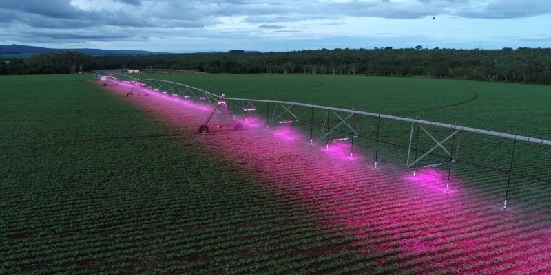 Associados da Copagril conhecem a ilumina&ccedil;&atilde;o artificial para irriga&ccedil;&atilde;o do solo.