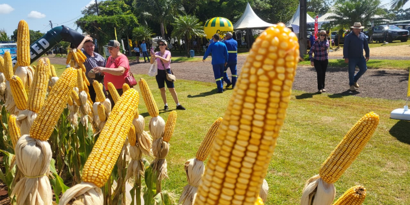 As tecnologias de milho e soja no Dia de Campo Copagril.