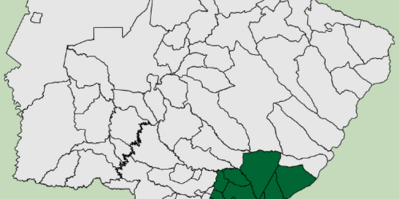 Copagril ampliar&aacute; &aacute;rea de atua&ccedil;&atilde;o no Mato Grosso do Sul