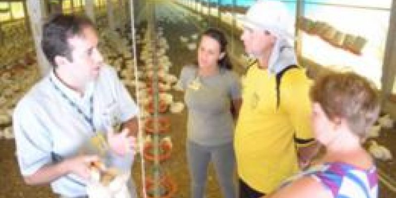INCENTIVO A PADRONIZA&Ccedil;&Atilde;O DE DIAGN&Oacute;STICO