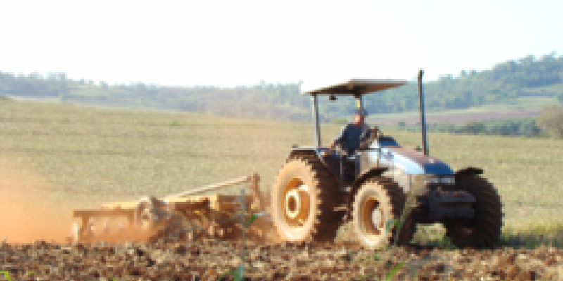 Sustentabilidade definir&aacute; sucesso da produ&ccedil;&atilde;o de gr&atilde;os na d&eacute;cada