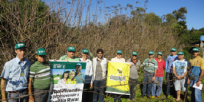 Fruticultura B&aacute;sica em Clima Temperado