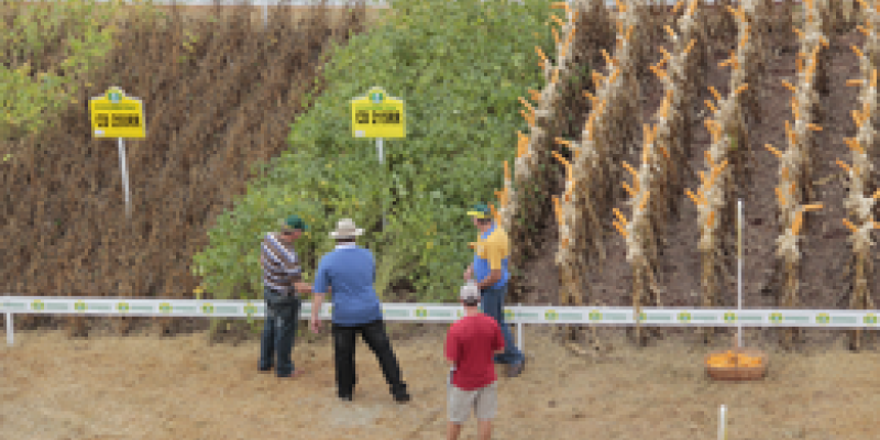 Dia de Campo: a tecnologia como parceira do agricultor                              