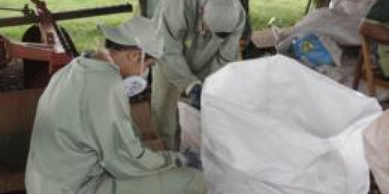 Paran&aacute; &eacute; l&iacute;der na recolha de embalagens vazias de agrot&oacute;xicos                            