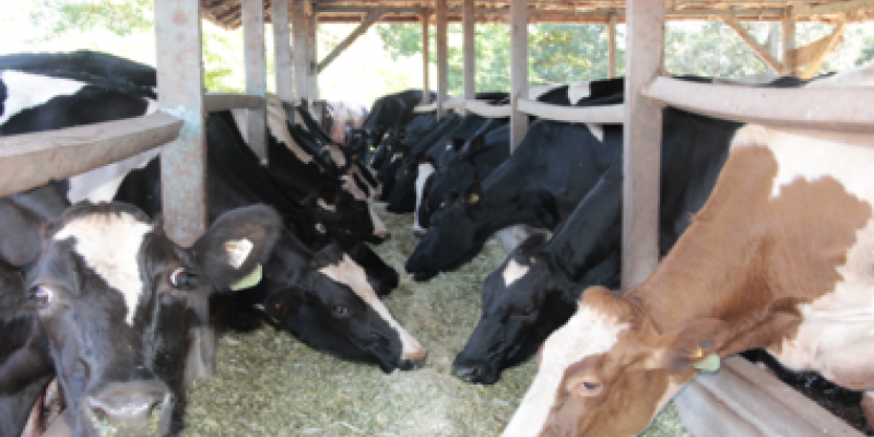 Copagril realiza Semin&aacute;rio Anual de Produtores de Leite e anuncia novidades                         