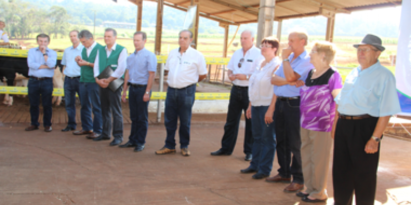 Lan&ccedil;amento da campanha estadual de vacina&ccedil;&atilde;o contra a febre aftosa                            