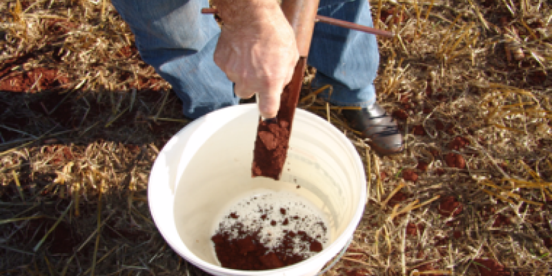 Solo com n&iacute;veis de nutrientes equilibrados garante maior produtividade