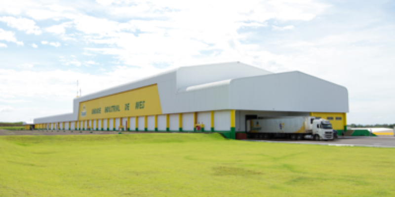 Mercado de trabalho oferta muitas oportunidades                              